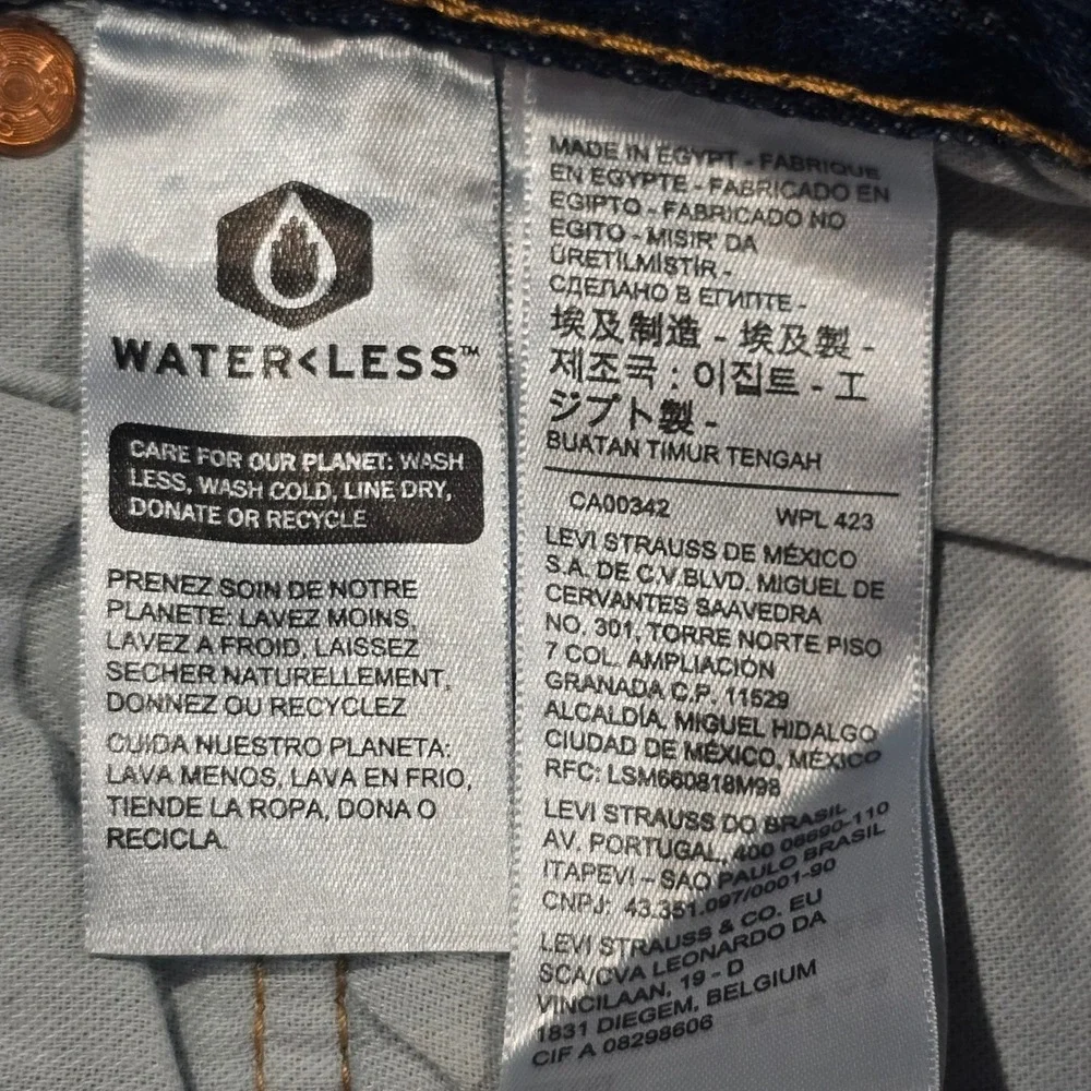 Levis levi strauss